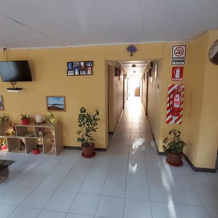 Hostal Km Zero - El Senor Del Lascar San Pedro de Atacama Exteriör bild